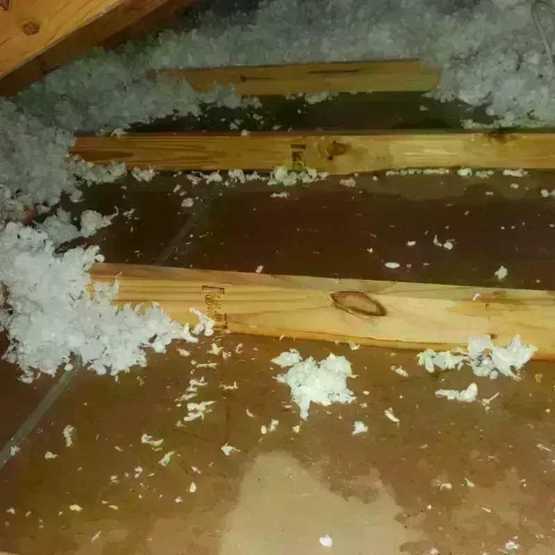 Attic Water Damage in New Miami, OH